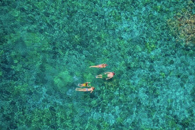 Kealakekua Bay Afternoon Snorkel: Family Fun on the Kona Coast - Who This Tour Is Best For