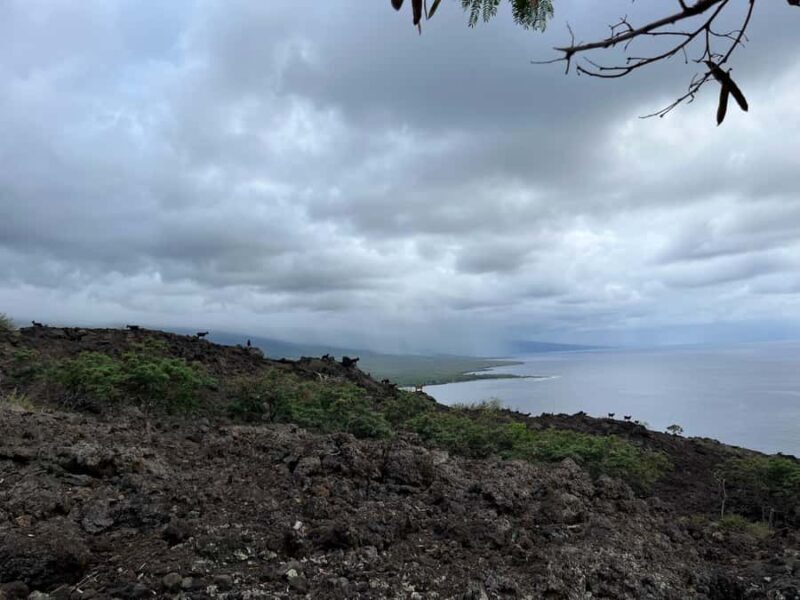 Kealakekua hike and snorkel with Native Hawaiian - FAQ