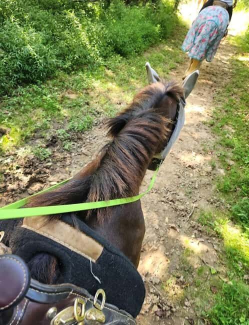 Keeneland: Horseback Riding Experience with Guide - An Authentic Kentucky Experience: What to Expect
