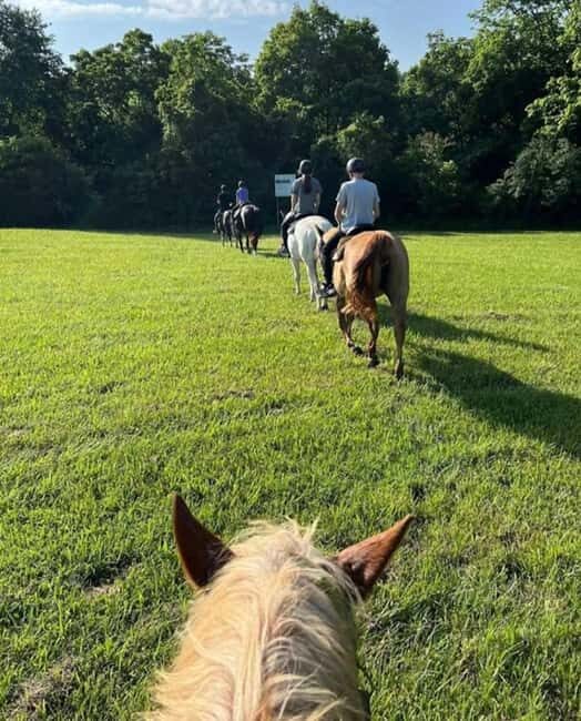 Keeneland: Horseback Riding Experience with Guide - The Experience Provider and Group Dynamics