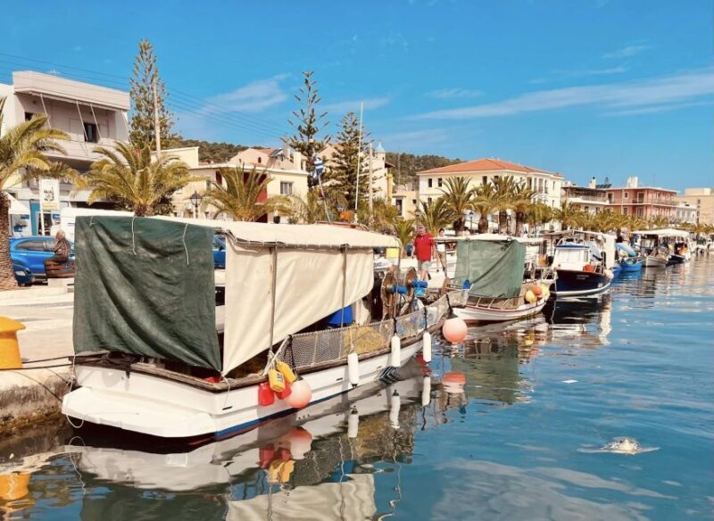 Kefallonia: Full-Day Private Sightseeing Tour - Key Points