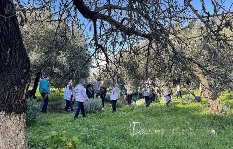 Kefalonia: Farm-to-Table Experience with Tastings - Final Thoughts