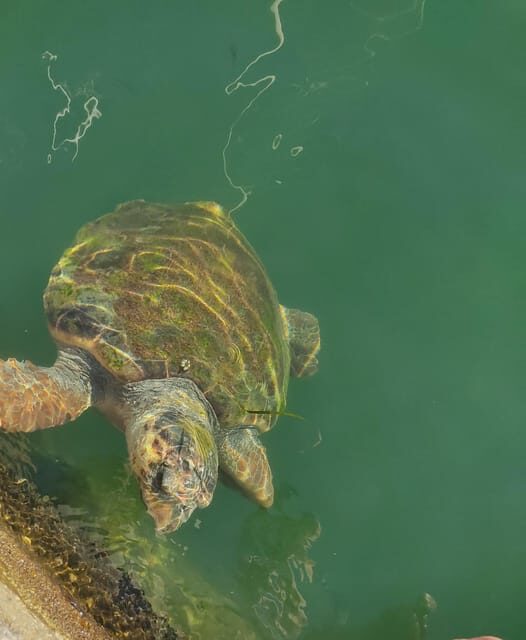 Kefalonia Private Cruise -Shore Excursion from Argostoli - Who Is This Tour Best For?