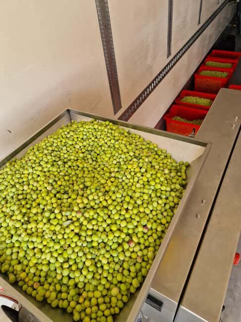 Kefalonia: Private Food and Wine Tastings with Beach Stop - Transportation and Group Size