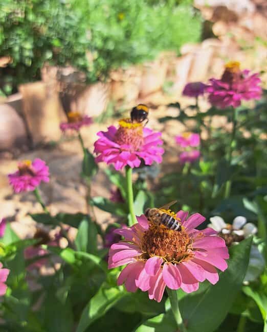 Kefalonia: Private Food and Wine Tastings with Beach Stop - Final Thoughts