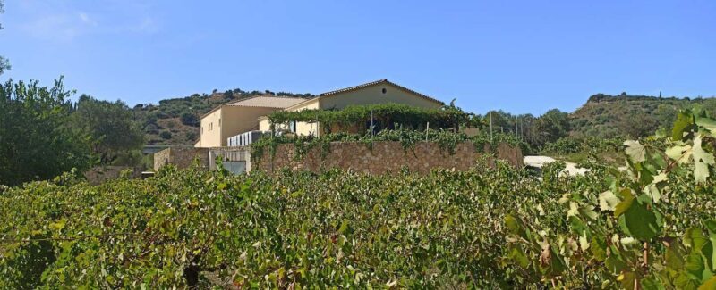 Kefalonia: Sclavos Estate Wine Tasting and Vineyard Tour - Key Points
