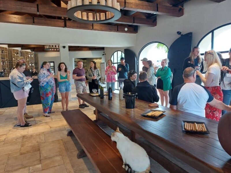 Kefalonia: Wine Tasting, Melissani, Drogarati & Fiscardo - Who Will Love This Tour?