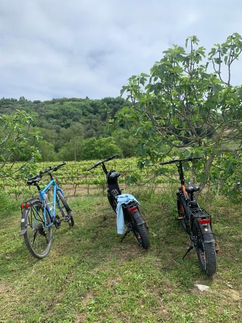 Kefalonia Wine Tour on E-Bikes - What to Expect from the Kefalonia Wine Tour on E-Bikes