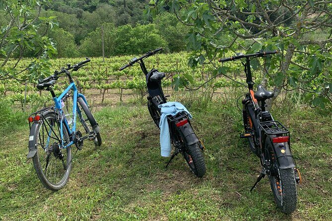 Kefalonia Wine Tour on E-Bikes - Exploring the Kefalonia Wine Tour on E-Bikes