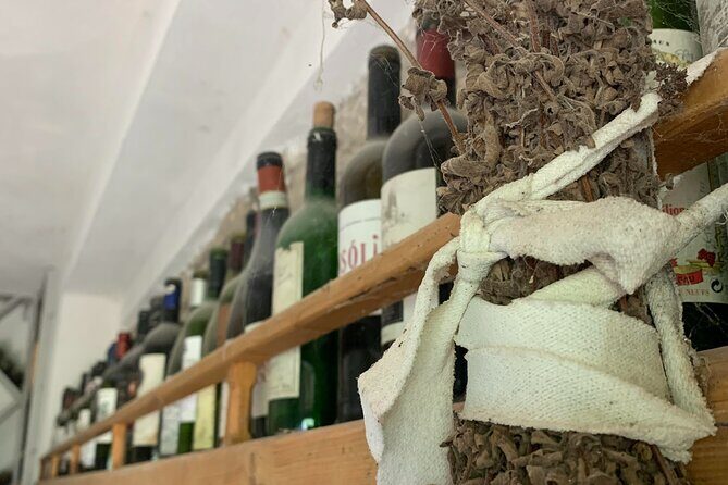 Kefalonia Wine Tour on E-Bikes - FAQ