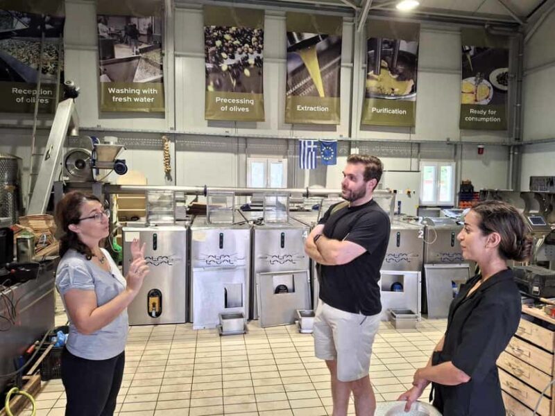 Kefalonia:Private Olive Oil, Honey & Wine Tasting Experience - Who Should Consider This Tour?