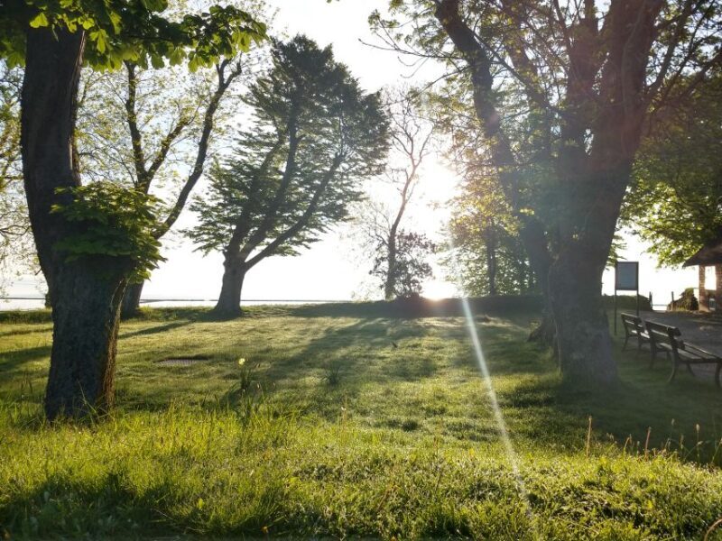 Keitum: Guided Village Walking Tour - Who Will Love This Tour?