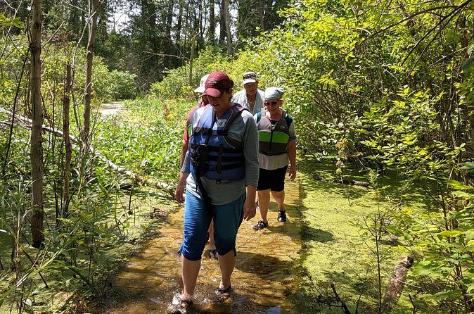 Kelleys Island Kayak Treasure Tour - Who Should Consider This Tour?
