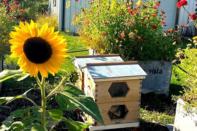 Kelowna E-Bike Bee Tour, Tastings, Organic Lunch & Audio Guide - Final Thoughts