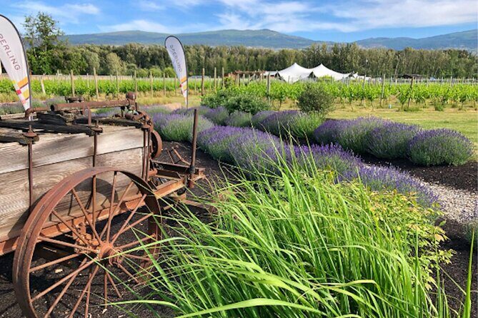 Kelowna Guided E-Bike Wine Tour with Tastings and Okanagan Lunch - An Inside Look at the Kelowna E-Bike Wine Tour