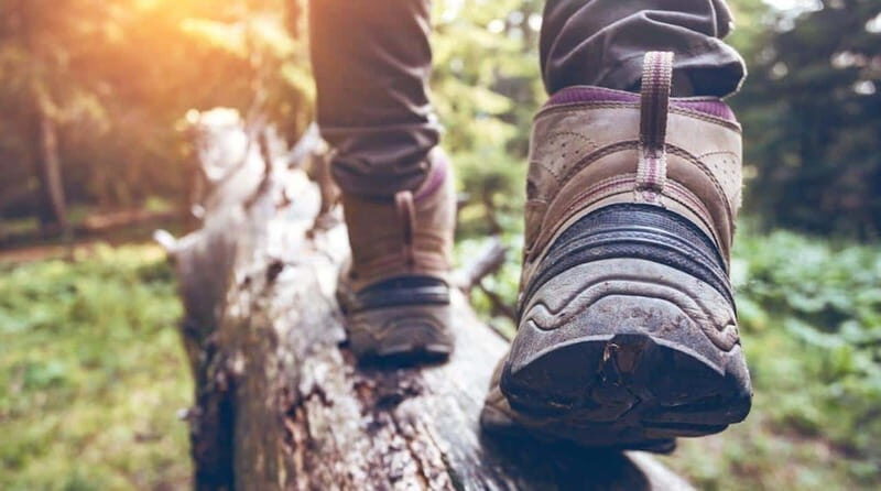 Kelowna: Guided Hiking Tour - Key Points