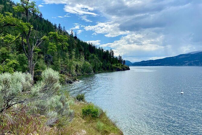 Kelowna: Okanagan Lake Views Guided E-Bike Tour with Picnic - A Closer Look at the Experience