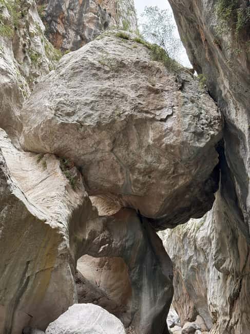 Kemer: Göynük Canyon Tour - An Overview of Göynük Canyon