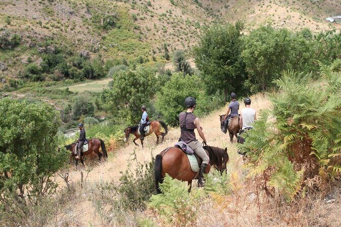 Kemer Horse Safari Experience With Free Hotel Transfer - What Makes This Tour Stand Out