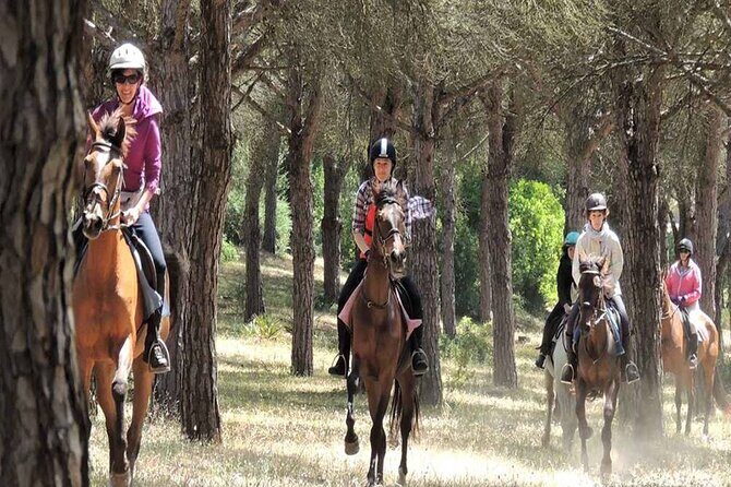 Kemer Horse Safari Experience With Free Hotel Transfer - Final Thoughts