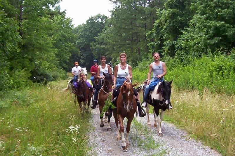 Kemer Horse Safari, pick up from Kiris, Beldibi, Goynuk - Key Points