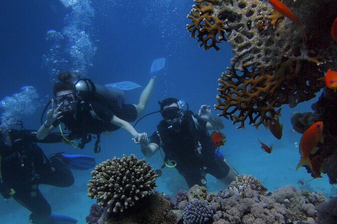 Kemer Scuba Diving Experience: Two Dives with Lunch - Frequently Asked Questions