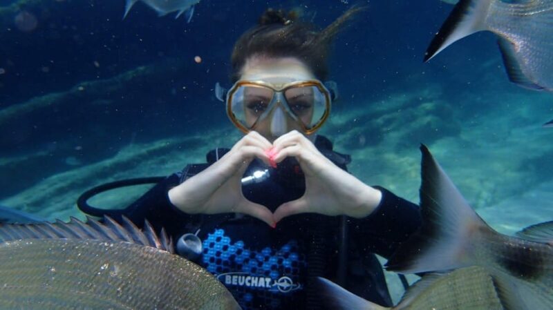 Kemer Scuba Diving - Exploring What the Tour Offers