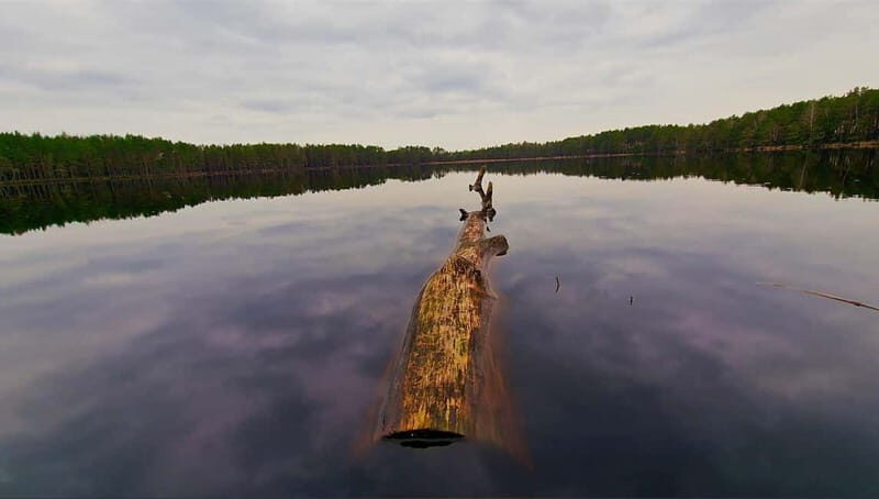 Kemeri N Park, Jurmala, Lake Melnezers & White Castle Hotel - Practical Details and Considerations