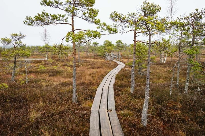 Kemeri National Park & Baltic Seaside Tour Bog Boardwalk - Key Points