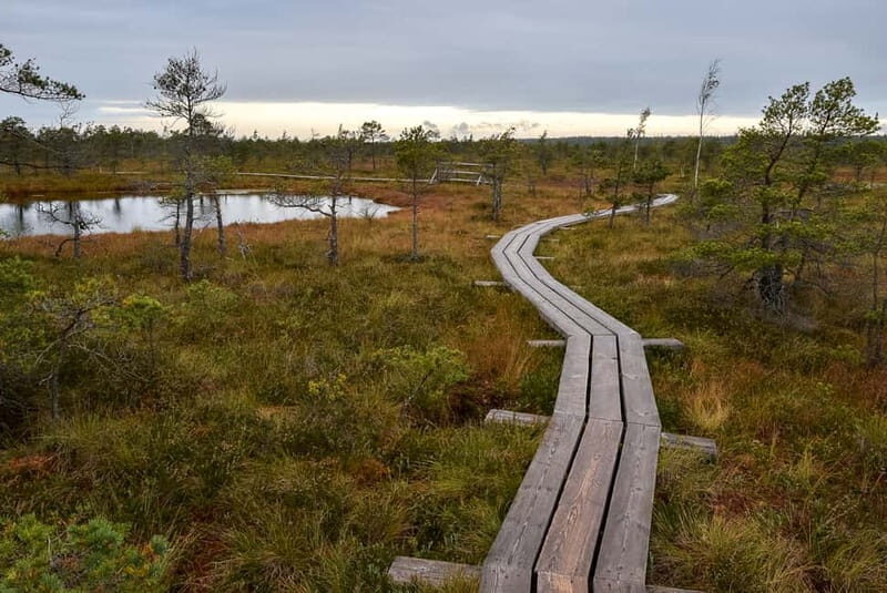 Kemeri National Park & Baltic Seaside Tour Bog Boardwalk - Final Thoughts: Is This Tour Right for You?