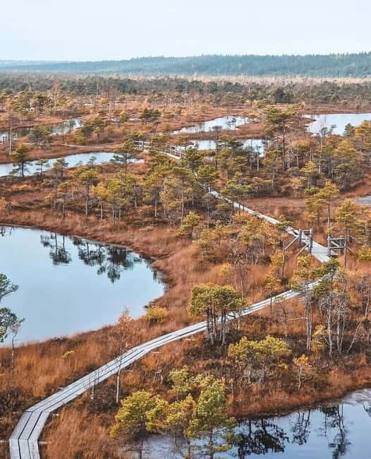 Kemeri National Park Guided Tour - Key Points