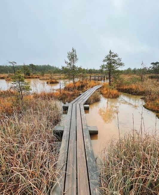 Kemeri National Park Guided Tour - Exploring Latvia’s Natural Gem: What You Get
