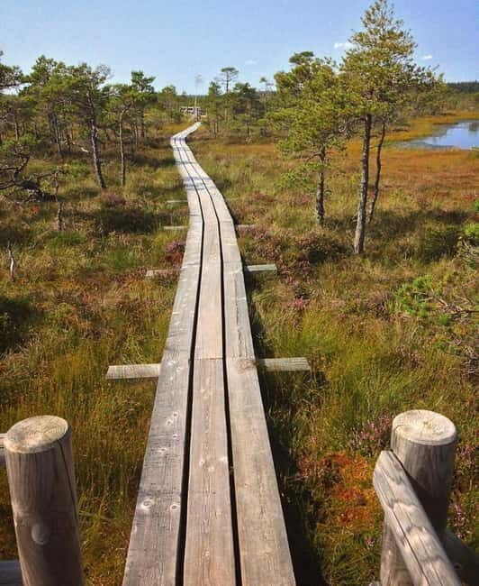 Kemeri National Park Guided Tour - The Itinerary: What to Expect