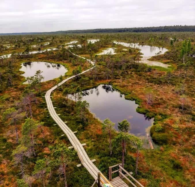 Kemeri National Park Guided Tour - The Experience: Pros and Cons