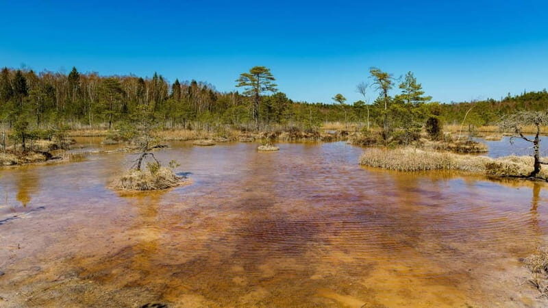 Kemeri National Park Outdoor Tour - What You Can Expect from the Kemeri National Park Outdoor Tour