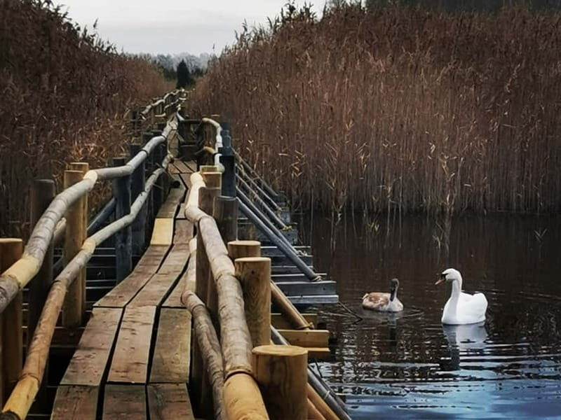 Kemeri National Park Outdoor Tour - The Practicalities