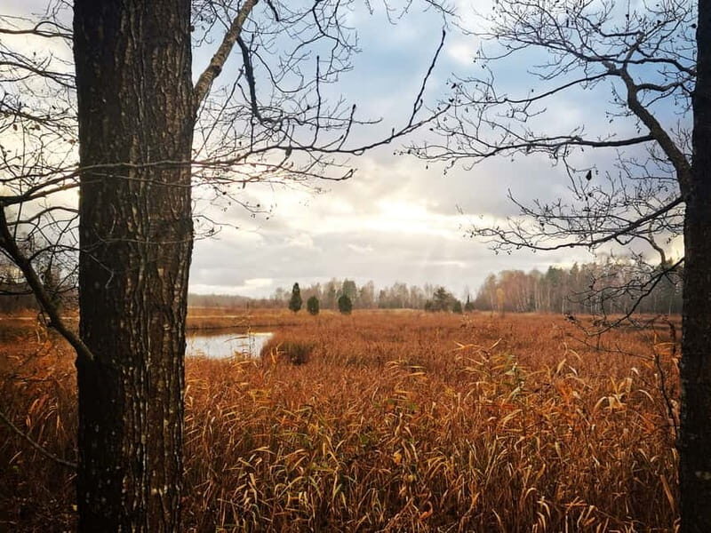 Kemeri National Park Outdoor Tour - Who Should Consider This Tour?