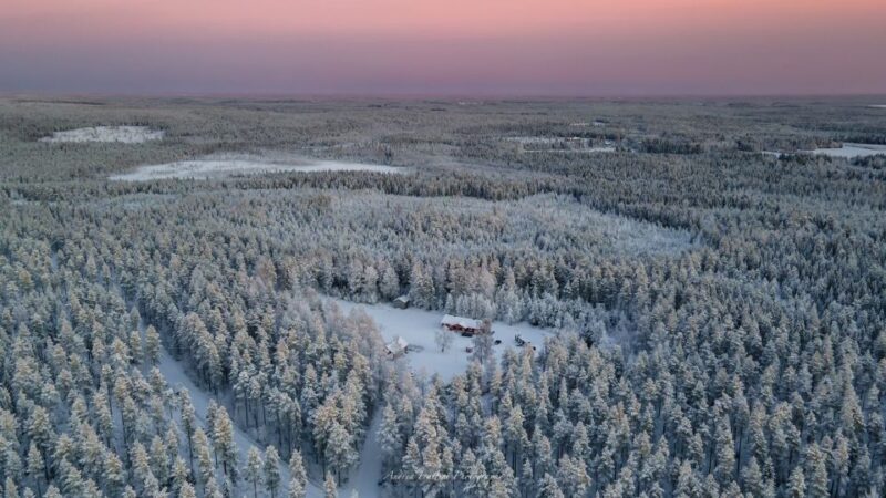 Kemi: Sled Dog Husky Safari Including Hot Drink - Key Points