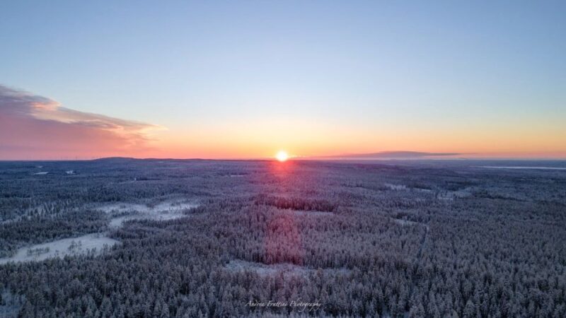 Kemi: Sled Dog Husky Safari Including Hot Drink - Final Thoughts