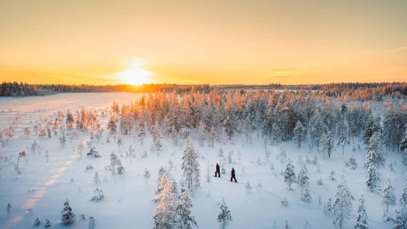 Kemi-Tornio: Nature tour with snowshoes - What to Expect on the Snowshoe Tour