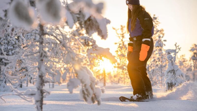 Kemi-Tornio: Nature tour with snowshoes - The Practical Details