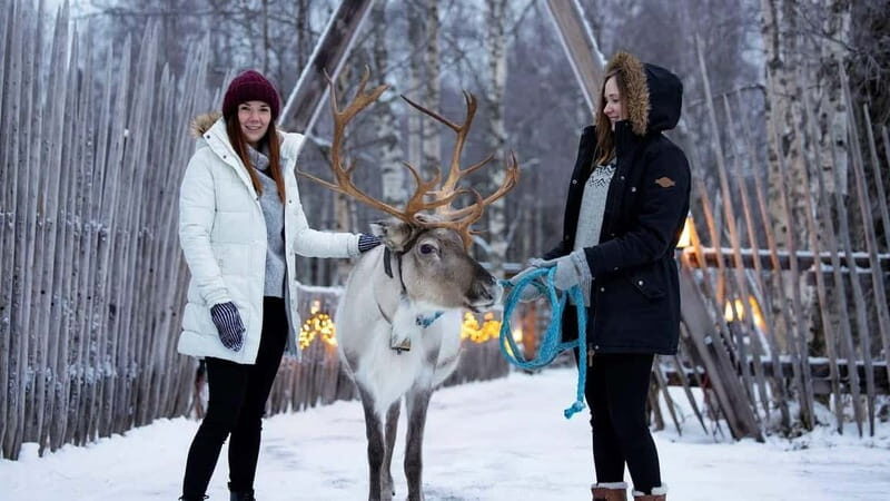 Kemi-Tornio: Reindeer farm experience - Key Points