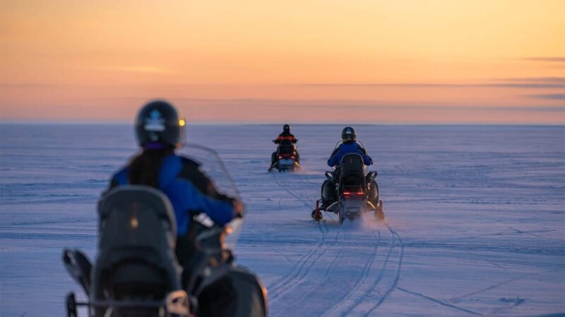 Kemi-Tornio: Snowmobile Forest Safari w/ Hot Drink & Snacks - Key Points