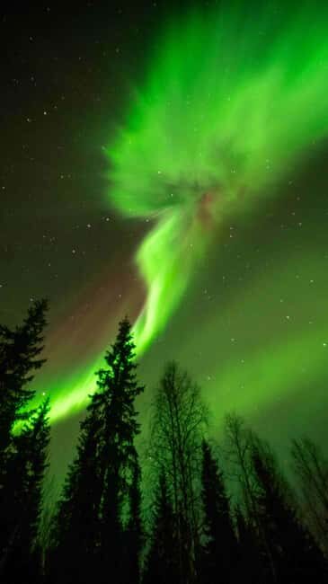 Kemijärvi: Insider Guided Aurora Hunting - The Actual Aurora Spotting