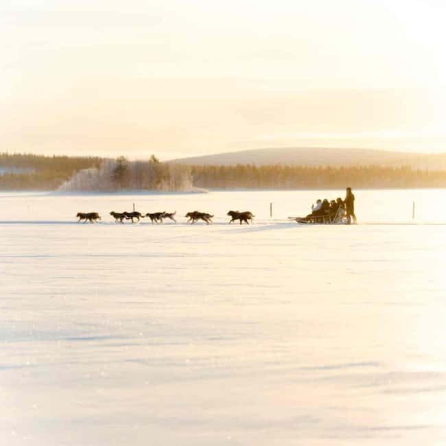 Kemijärvi: Insider Husky Self-Drive 5km Safari - Key Points