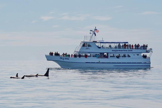 Kenai Fjords Orca Quest Cruise - What the Tour Entails