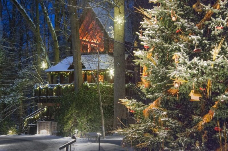 Kennett Square: Longwood Gardens Admission Ticket - Frequently Asked Questions