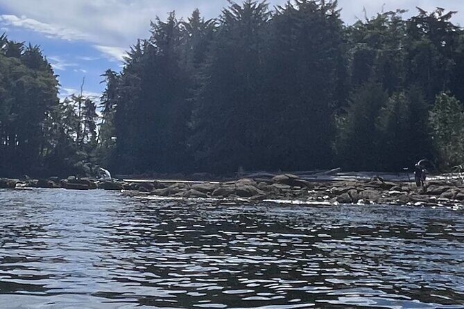 Keogh River Bear Kayaking Tour - Why Is This Tour Special?