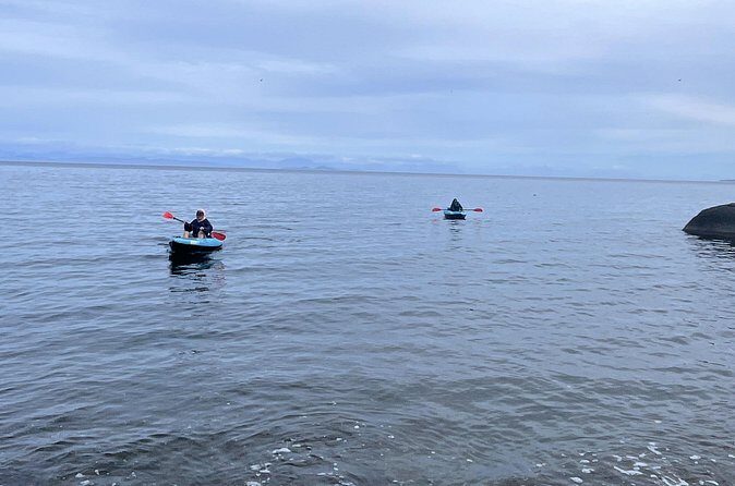 Keogh River Bear Kayaking Tour - Who Would Love This Tour?