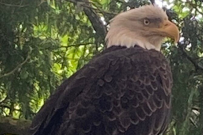 Ketchikan Alaska private tour - FAQs